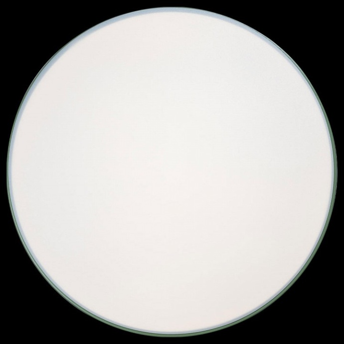 Накладной светильник Loft it Axel 10001/36 Green - 4