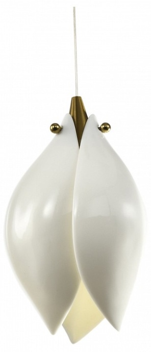 Подвесной светильник Zortes DALIN ZRS.90609.01 - 0