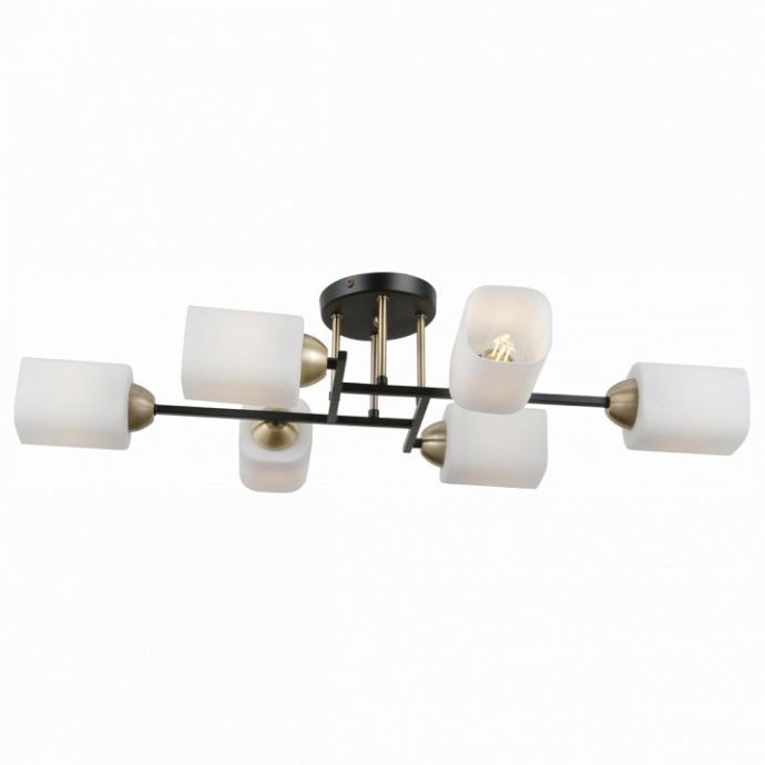 Потолочная люстра Citilux Генри CL130265 - 0