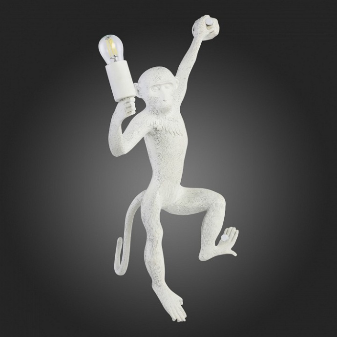 Накладной светильник EVOLUCE Tenato SLE115111-01 - 4