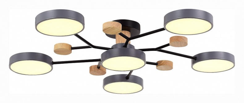 Потолочная люстра EVOLUCE Faema SLE6006-702-06 - 1