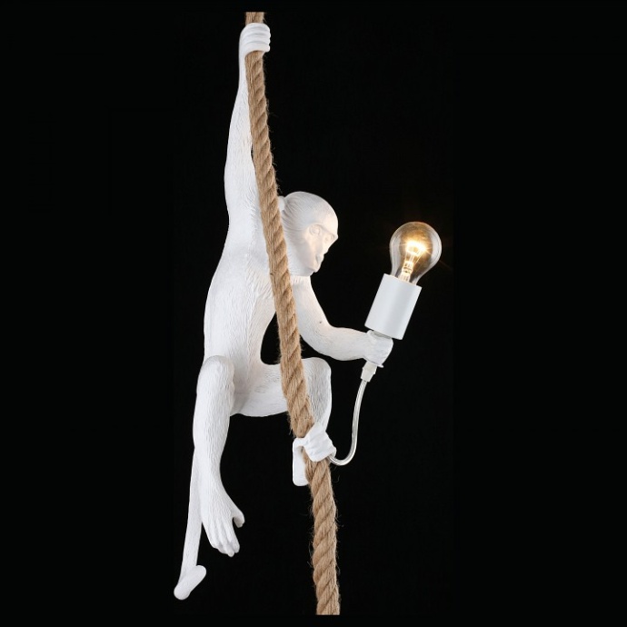 Подвесной светильник Aployt Magali APL.309.06.01 - 3