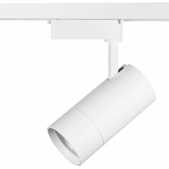 Светильник на штанге Lightstar Volta 229436 - 2