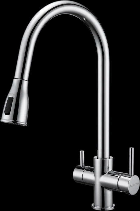 Смеситель для кухни Paulmark Lange хром La214212-CR - 0