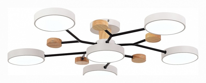 Потолочная люстра EVOLUCE Faema SLE6006-502-06 - 1