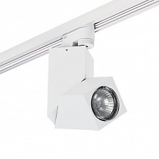 Светильник на штанге Lightstar Illumo A1T051056 - 1