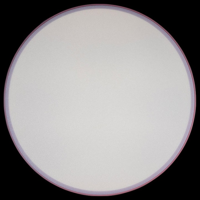 Накладной светильник Loft it Axel 1 10002/24 Pink - 3