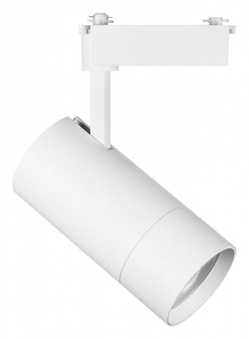 Светильник на штанге Lightstar Volta 229446 - 0