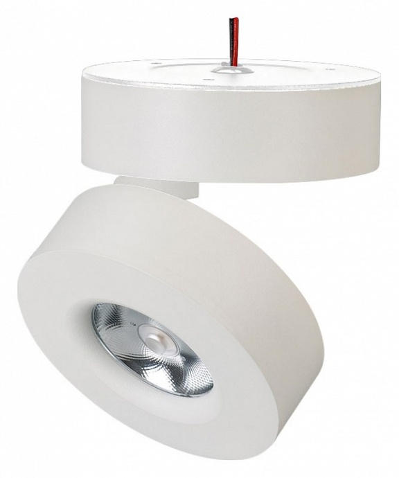 Светодиодный спот Arlight SP-Mona-Surface-R100-12W Warm3000 025440(1) - 0