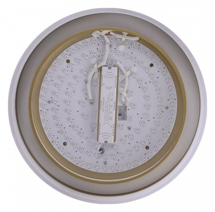 Накладной светильник Zortes Adel ZRS.1200.01 - 2