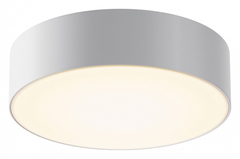 Накладной светильник Maytoni Zon IP O431CL-L30W3K - 0