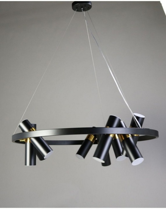 Подвесная люстра Zortes Tweeny ZRS.1828.80 - 2