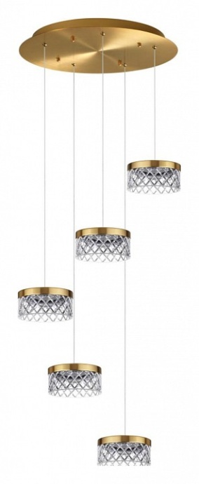 Подвесная люстра Odeon Light Fivre 5032/30L - 0