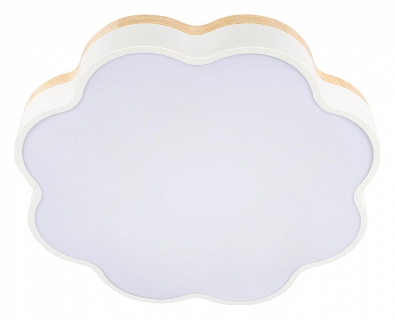 Накладной светильник Loft it Axel 10225/36 White - 3