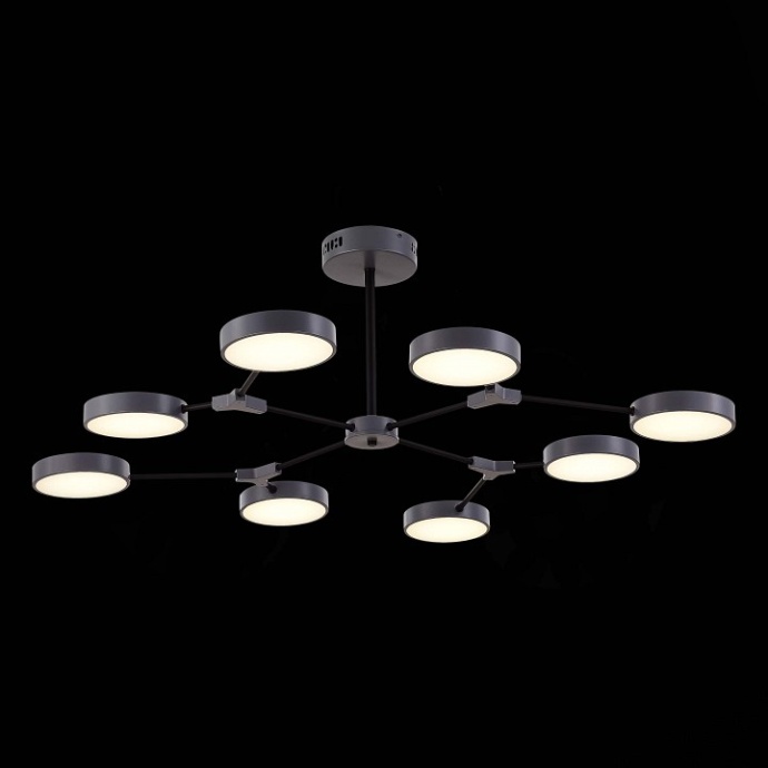 Люстра на штанге EVOLUCE Monta SLE6003-702-08 - 3