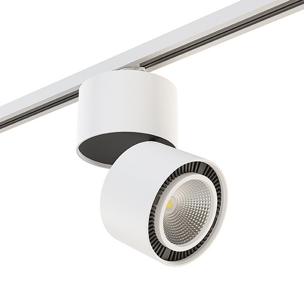 Светильник на штанге Lightstar Rullo A1T214850 - 0