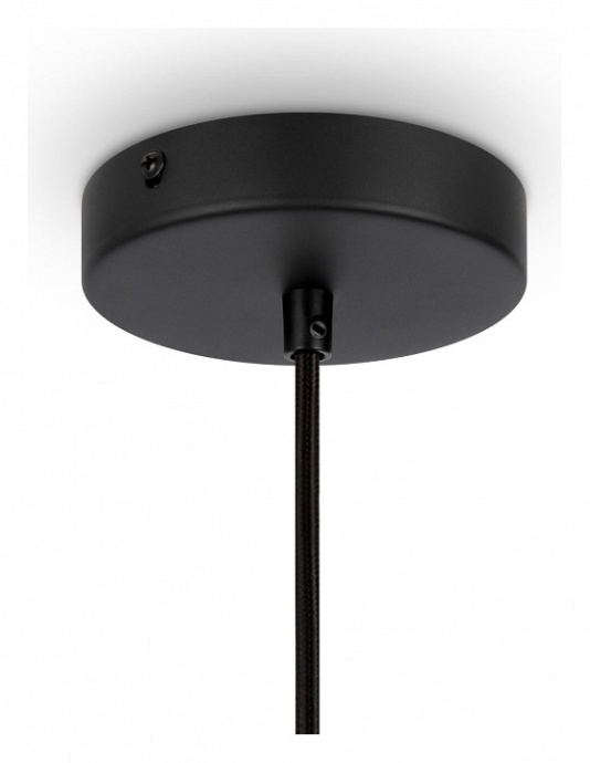 Подвесной светильник Maytoni Roots MOD191PL-01W - 2