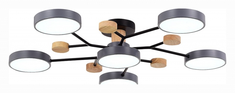 Потолочная люстра EVOLUCE Faema SLE6006-702-06 - 3