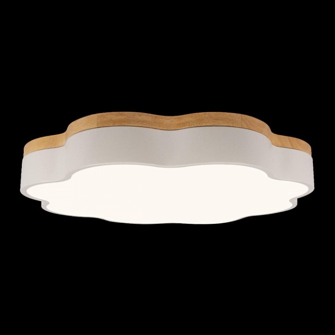 Накладной светильник Loft it Axel 10225/36 White - 5