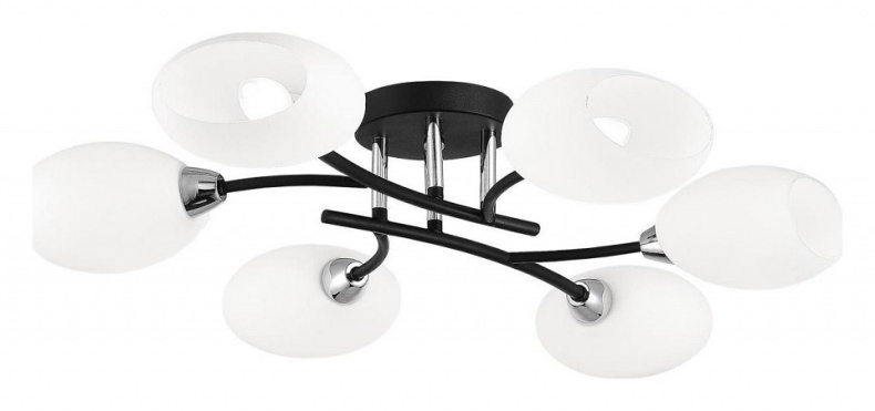 Потолочная люстра Citilux Флорида CL148165 - 0