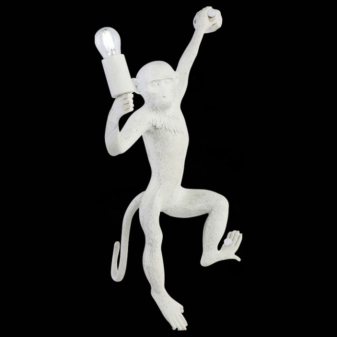 Накладной светильник EVOLUCE Tenato SLE115111-01 - 1