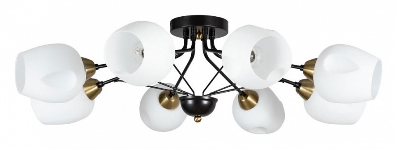 Потолочная люстра Arte Lamp Brighton A2706PL-8CK - 0