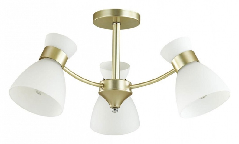 Потолочная люстра Lumion Comfi Wilma 4535/3C - 0