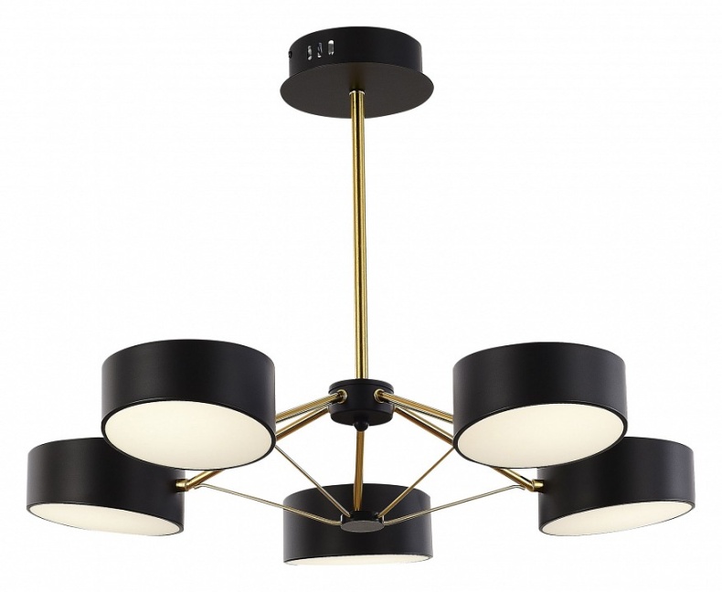 Люстра на штанге EVOLUCE Valle SLE6005-402-05 - 2