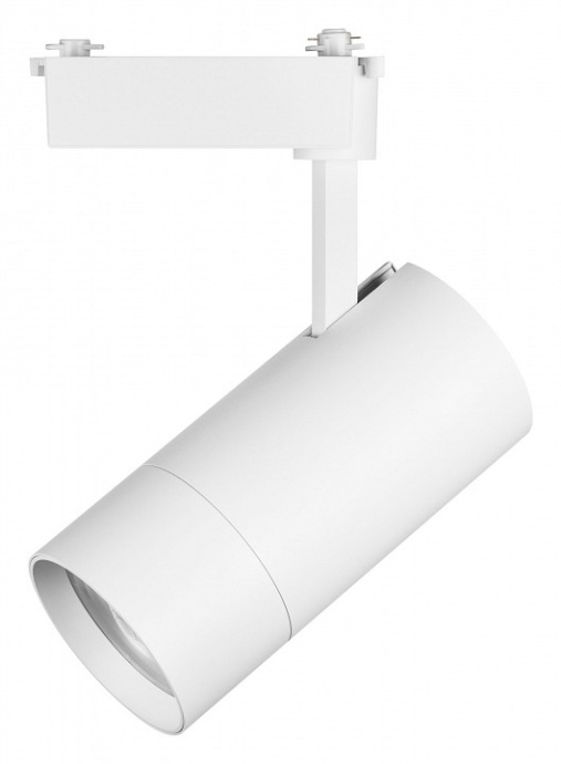 Светильник на штанге Lightstar Volta 229446 - 1