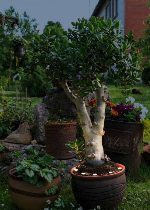 Ландшафтный светодиодный светильник Eglo Spinetoli 2 900117 - 1