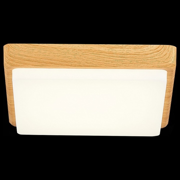 Накладной светильник EVOLUCE Taddio SLE200202-01 - 2