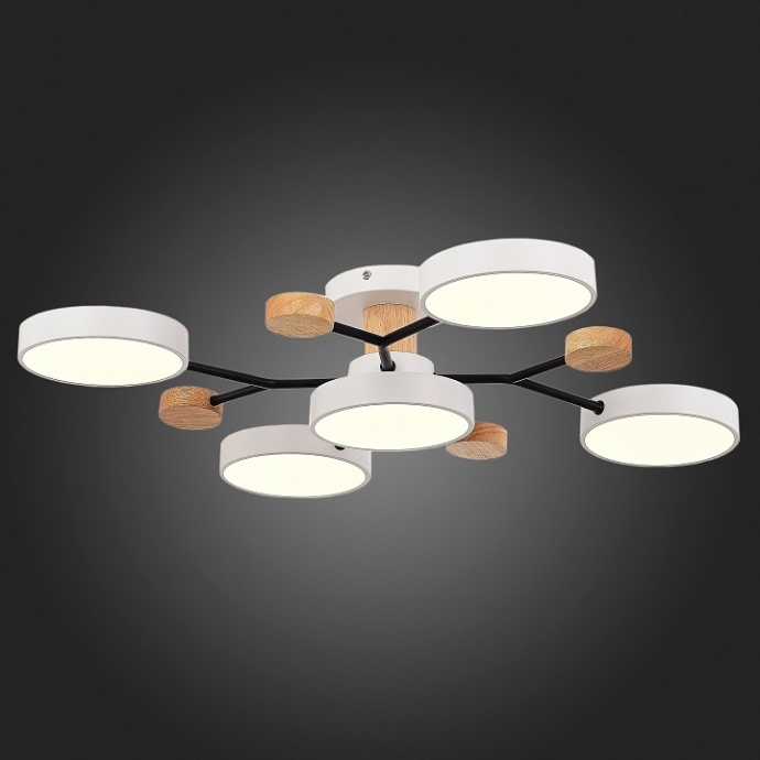 Потолочная люстра EVOLUCE Faema SLE6006-502-05 - 5