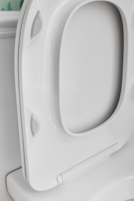 Крышка-сиденье Jacob Delafon Modern Life E77168-0 с микролифтом - 6