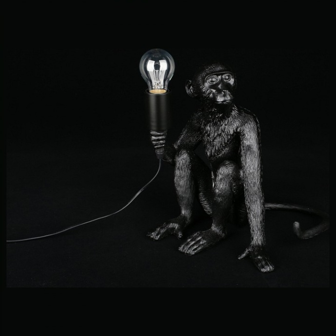 Зверь световой Aployt Magali APL.309.24.01 - 4