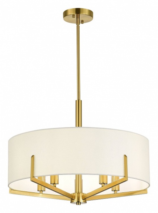 Светильник на штанге EVOLUCE Linton SLE3010-303-05 - 1