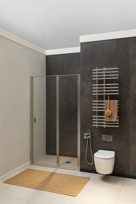 Душевая дверь Allen Brau Priority 90 профиль серебро матовый стекло прозрачное 3.31026.BA - 4