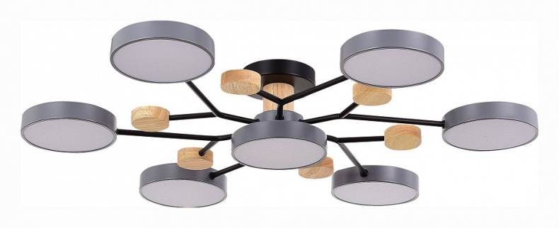 Потолочная люстра EVOLUCE Faema SLE6006-702-07 - 0