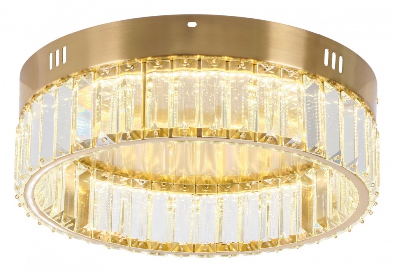 Накладной светильник MyFar Irina MR2010-1CL - 1