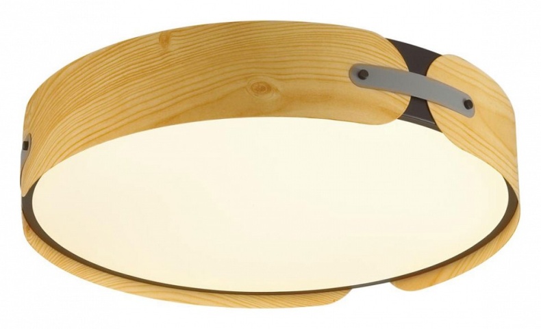 Накладной светильник Sonex Coraggio 7721/120L - 2