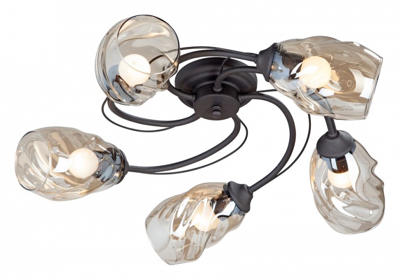 Потолочная люстра Vitaluce  V4927-1/5PL - 0