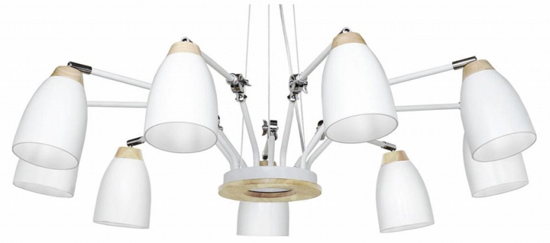 Подвесная люстра Loft IT Watchman Loft4402/9Wh - 0