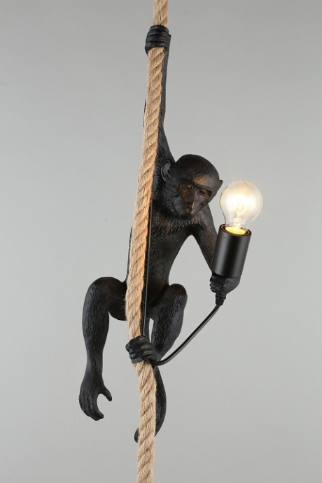 Подвесной светильник Aployt Magali APL.309.16.01 - 8