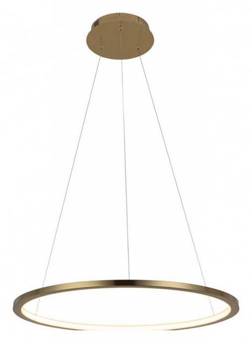 Подвесной светодиодный светильник Loft IT Ring 10014M - 1