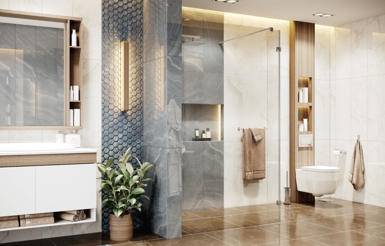 Душевая перегородка Ambassador Walk-in 15031105 90х200 см, профиль хром - 2