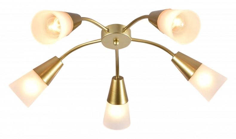 Потолочная люстра Escada Aquilegia 1100/5P Gold - 0