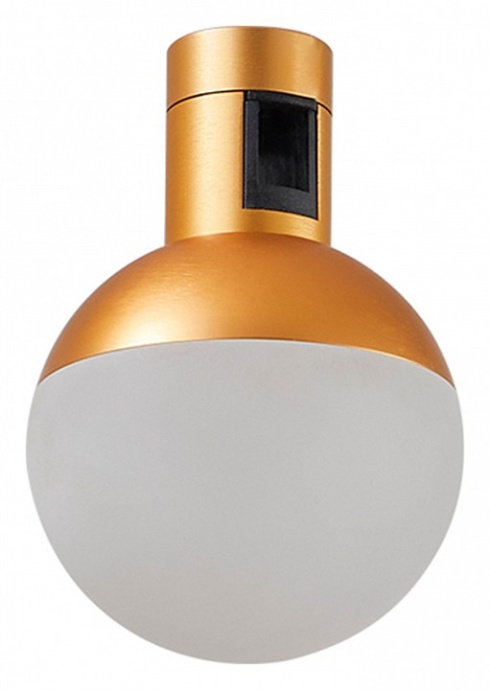 Светильник на штанге ST-Luce Farm ST815.206.05 - 0