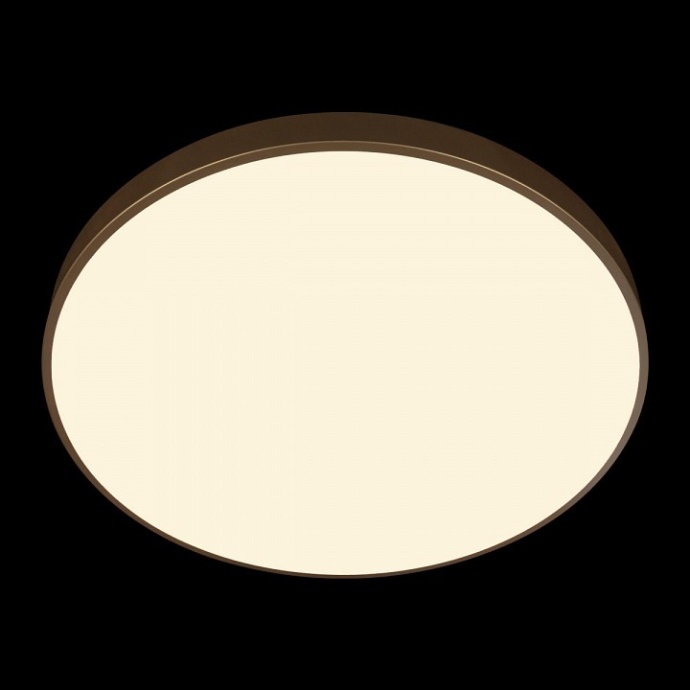 Накладной светильник Loft it Flims 10228/B - 5