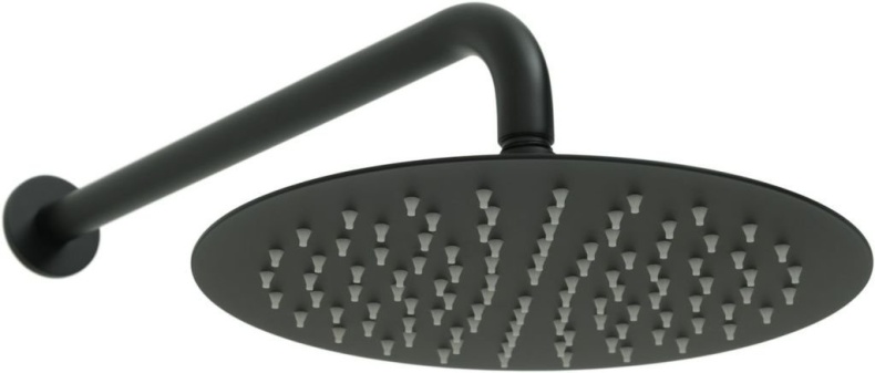 Верхний душ Allen Brau Priority черный матовый 5.31017-31 - 0
