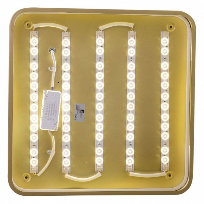 Накладной светильник Zortes Gabby ZRS.1215.03 - 2