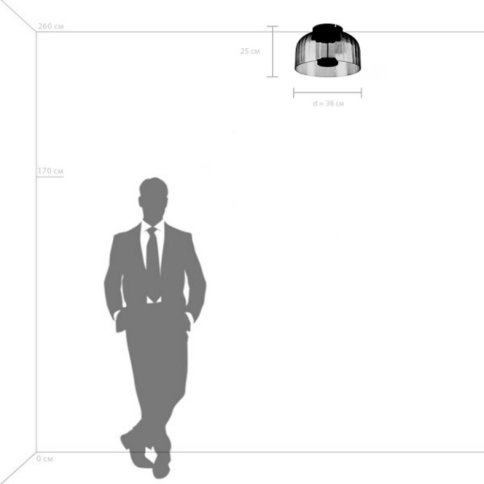 Накладной светильник Lightstar Celesta 809062 - 2